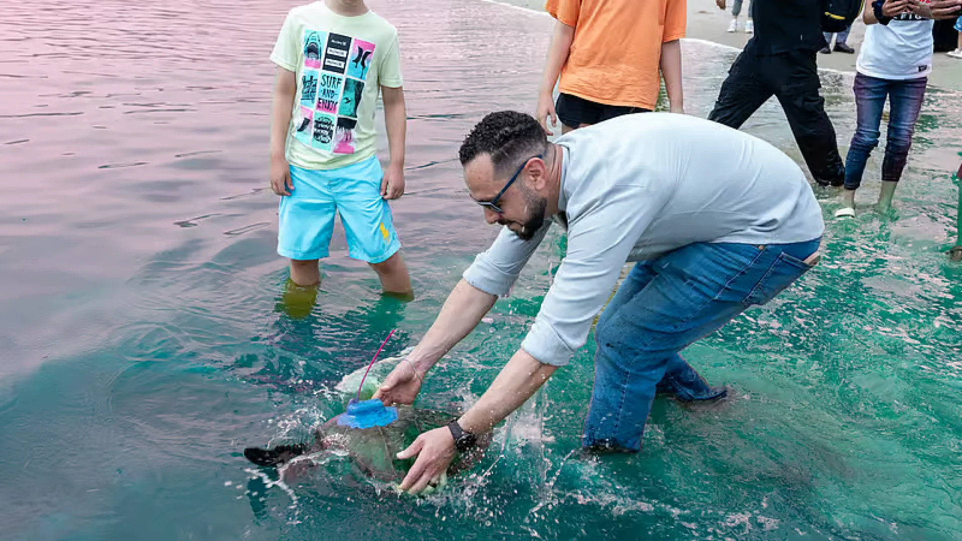 Fujairah: des tortues vertes relâchées en mer | Die Geissens Real Estate | Luxus Immobilien mit Carmen und Robert Geiss – Die Geissens in Dubai